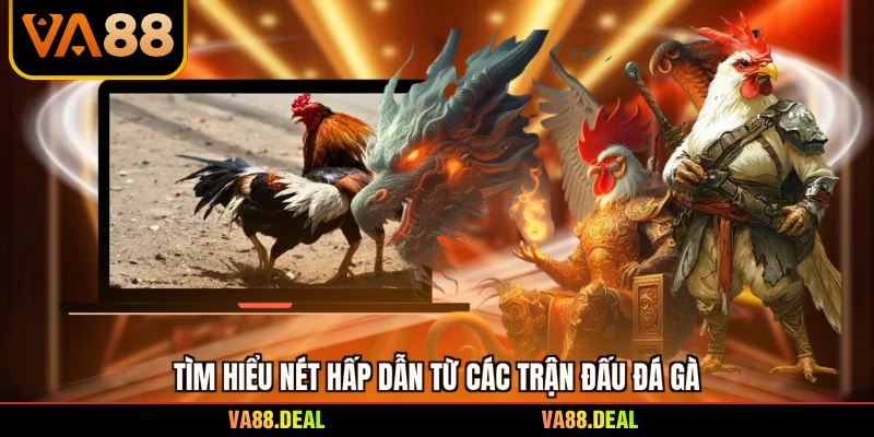 Tìm hiểu nét hấp dẫn từ các trận đấu đá gà